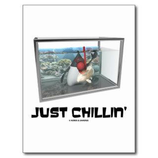 Just Chillin' (Java Duke Snorkeling Fish Tank) Post Cards