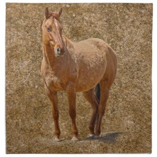 Red Dun Horse lover's Equine Gift Design Napkins