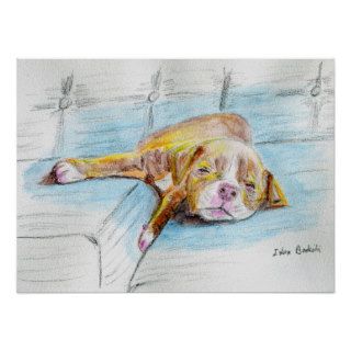 Cute Red Nose Pit Bull Puppy Sleeping on Sofa Print