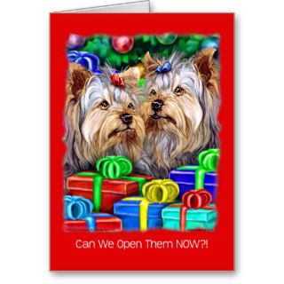 Yorkshire Terrier Christmas Gifts Greeting Card