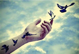 Beautiful Hand Holding Flying Birds In The Sky Peel & Stick Sticker Mural Vinyl Wall   Best Selling Cling Transfer Decal Picture Art 20x30 Color 561   Wall Decor Stickers