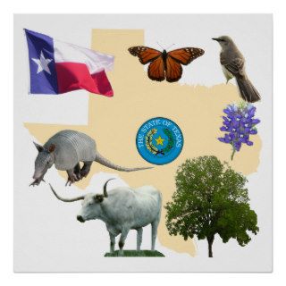 Texas State Symbols Print