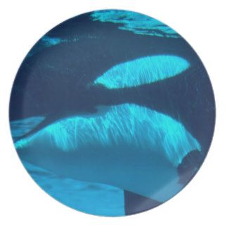 Whale Submerged Killer Party Plate