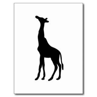 Tall African Giraffe Animal Silhouette Giraffidae Post Card
