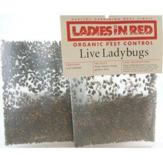 LADIES IN RED One Pint Live Ladybugs 122