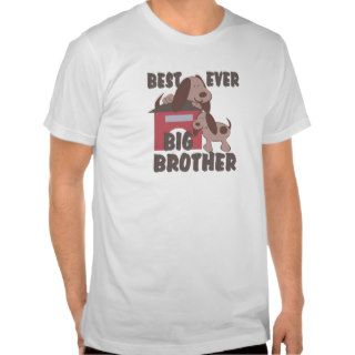 Best Big Brother Ever Tee Shirts