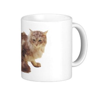 Persian Silver Tabby Maine Coon Persian Cat Coffee Mugs