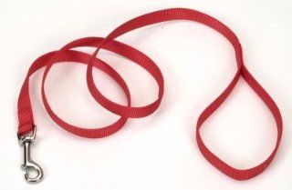 Coastal Pet Products DCP604Red Nylon Collar Lead for Pets, 3/4 Inch by 4 Feet, Red  Pet Leashes 