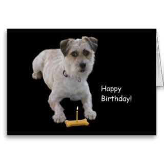 Dog with milkbone birthday by Focus for a Cause Cards