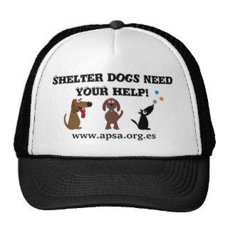 Cute Shelter Dogs Need Your Help Charity Mesh Hat