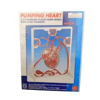 Ajax Scientific Plastic Pumping Heart Model Kit