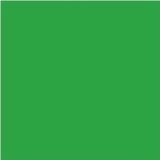 12" x 20 ft Roll of Matte 631 Yellow Green Repositionable Adhesive Backed Vinyl for Craft Cutters, Punches and Vinyl Sign Cutters ? Vinyl Ease V1533