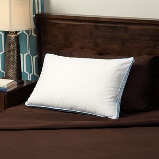 Cozyclouds By Downlinens Feather And Down Compartment Pillow