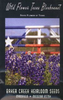 Honeyman Farms 3621 Texas Bluebonnet   Wildflower Seed Packet  Flowering Plants  Patio, Lawn & Garden