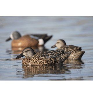 Avery Greenhead Gear Pro Grade Blue Winged Teal Floating Duck Decoys Early Season Hen Pack 73126  Hunting Decoys  Sports & Outdoors