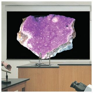Draper Silhouette/Series E Projection Screen with Quiet Motor & Low