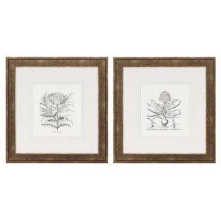 Paragon Flower Impressions Hyacinthus/Cinera Framed Print (Set of 2)