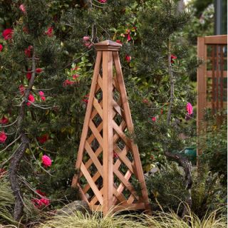 Buyers Choice Phat Tommy Coppertop Trellis