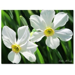 Trademark Art Daffodils by Kathie McCurdy Photographic Print on
