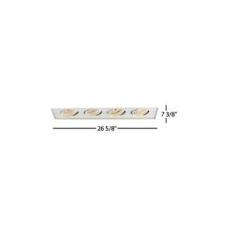 WAC Line Voltage Recessed Downlight with 25 Degree