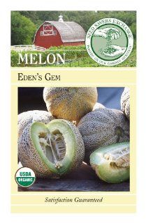 Seed Savers Exchange 1031 Organic, Open pollinated Melon Seed, Eden's Gem, 25 Seed Packet  Fruit Plants  Patio, Lawn & Garden