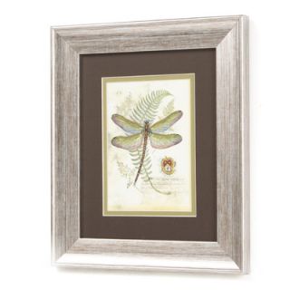 Propac Images Dragonfly I and II Print Set   11 x 13 (Set of 2)