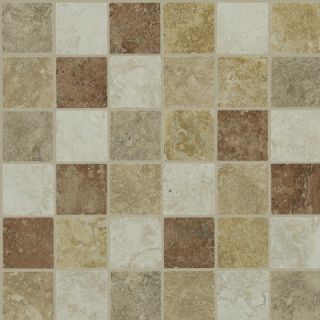 Shaw Floors Piazza Mosaic Tile Accent in Multi color