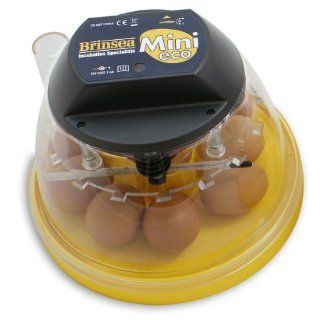 Brinsea Mini Eco Hatching Egg Incubator