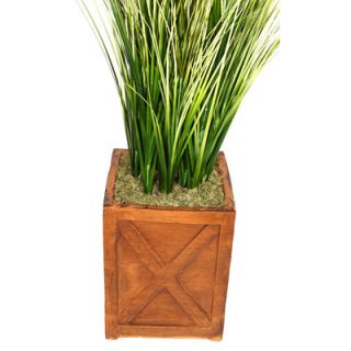Laura Ashley Home Tall Onion Grass with Twigs in Fiberstone Planter