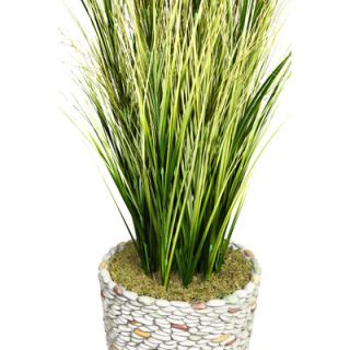 Laura Ashley Home Tall Onion Grass in Round Tapered Fiberstone Pot