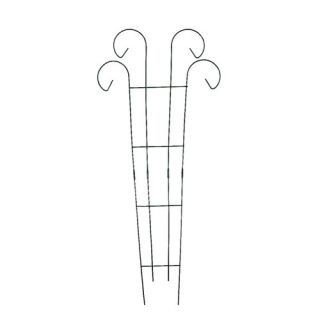 Arbors & Trellises