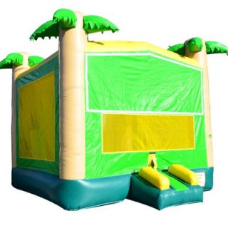 JumpOrange Dolphin Xtreme Wet/Dry Commercial Grade Inflatable Water