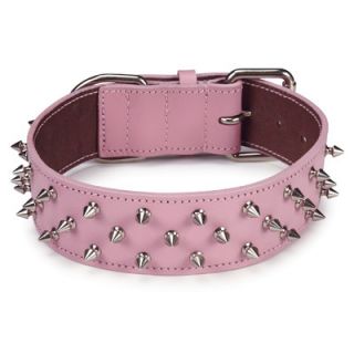 Casual Canine 25 Deluxe Spiked Leather Dog Collar