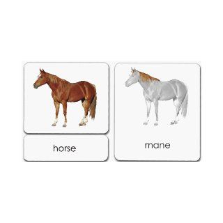 "Parts of" the Horse 3 Part Photo Cards Maitri Learning 9781606290972 Books
