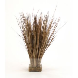 Distinctive Designs Dried Grass in Glass Vase