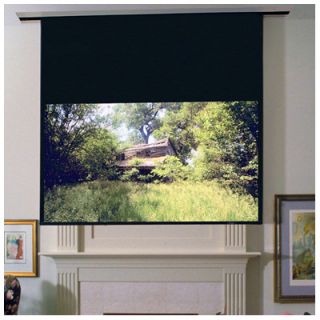 Draper Access/Series E AV Format Projection Screen with Low Voltage