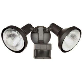 DualBrite 2 Light Motion Flood Light