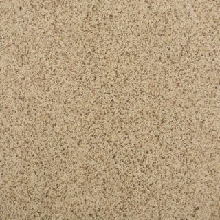 Milliken Legato Touch 19.7 x 19.7 Carpet Tile in Seadunes