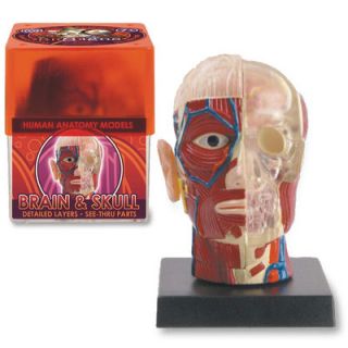 Tedco Toys Bio Signs 6 Piece Brain and Skull Set