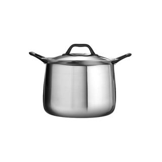 Limited Edition Butterfly Stainless Steel Stock Pot with Lid