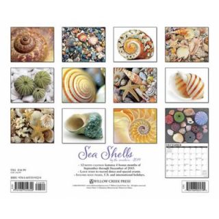 Willow Creek Press Sea Shells 2014 Wall Calendar