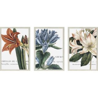 Paragon Botanique Florals Art Set