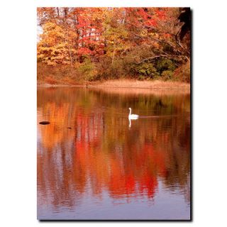 Trademark Art Autumnal Swan by Kurt Shaffer, Canvas Art   32 x 24