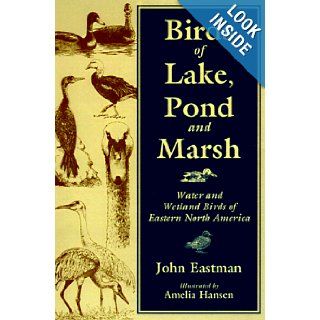 Birds of Lake Pond & Marsh Water and Wetland Birds of Eastern North America John Eastman, Amelia Hansen 9780811726818 Books