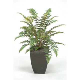 Silks Leather Fern Plant in Square Metal Planter