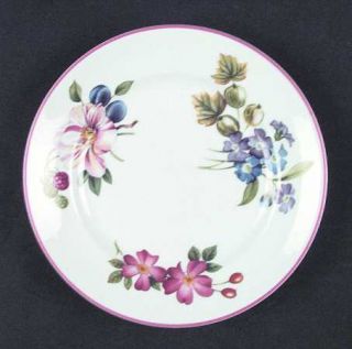 Royal Worcester Ashford (Red Trim) Bread & Butter Plate, Fine China Dinnerware  