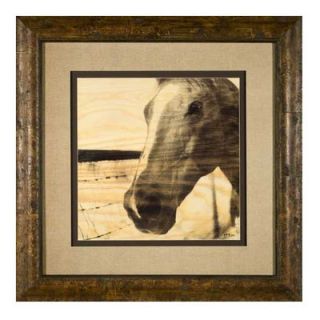 Phoenix Galleries Portrait of a Horse Framed Print