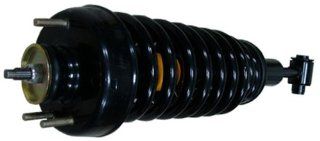 Raybestos 717 1321 Professional Grade Suspension Strut and Coil Spring Assembly Automotive