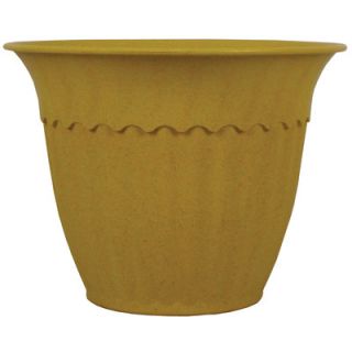 Rossos International Decorative Biodegradable Bamboo Pot