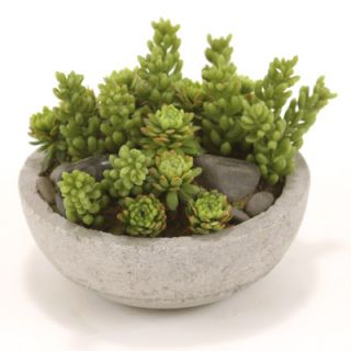 Distinctive Designs Faux Mixed Succulents and Stones in Concrete Lite